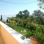 Roza's And بينيتسيس