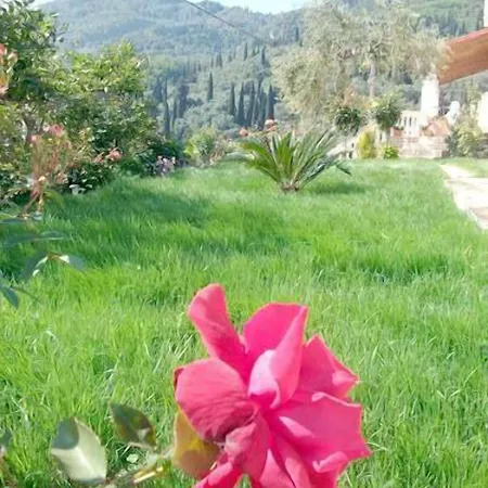 Appartement Roza's And *