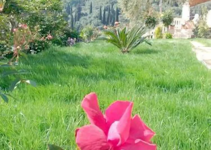 דירה Roza's And *